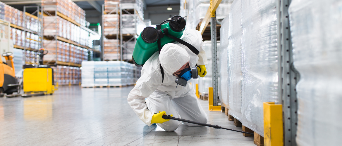 Termite Control Service