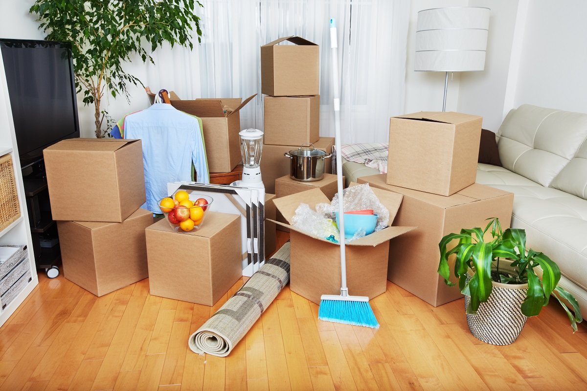 Move In Move Out Cleaning Service
